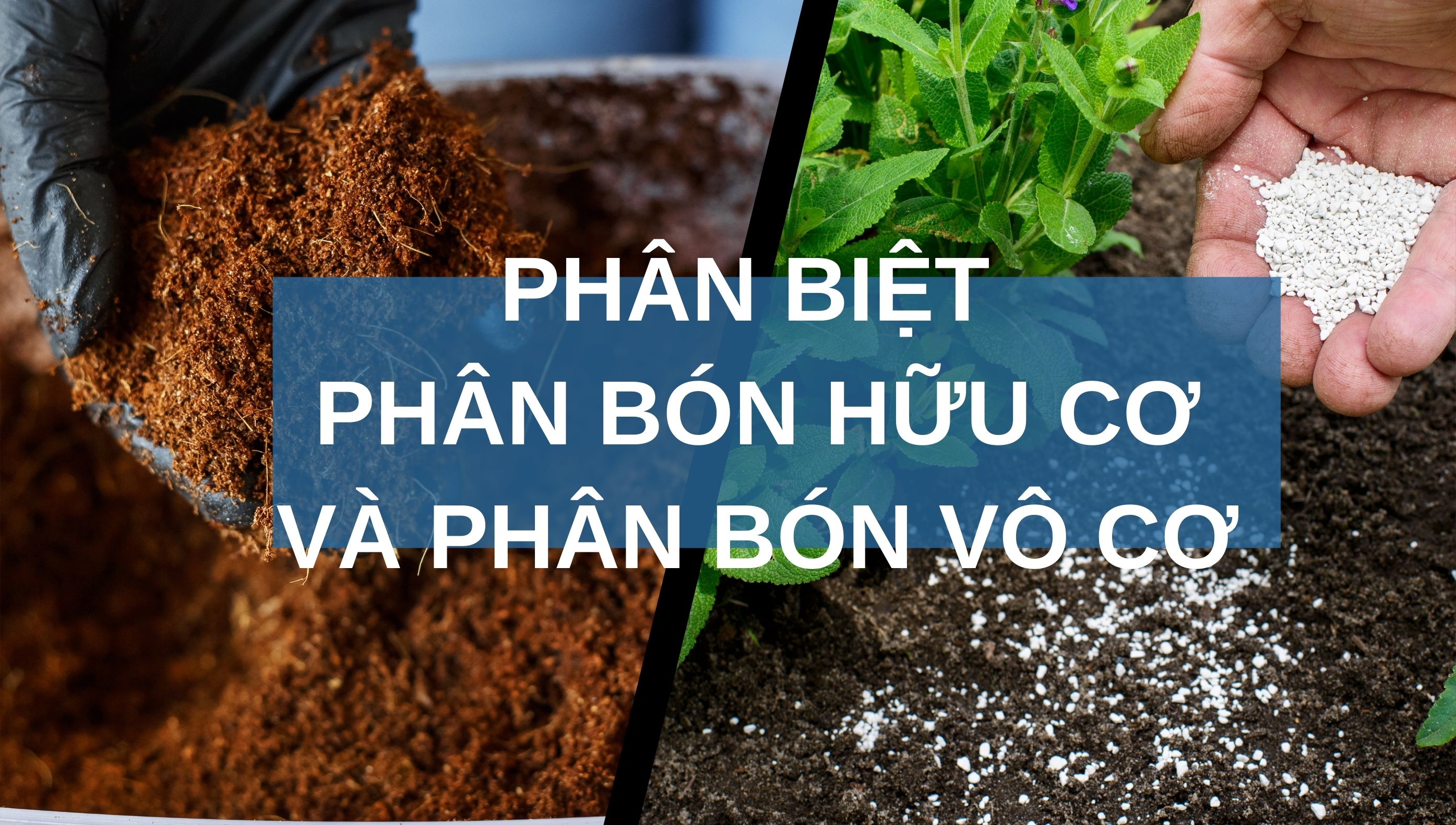 Phân biệt phân bón hữu cơ và phân bón vô cơ