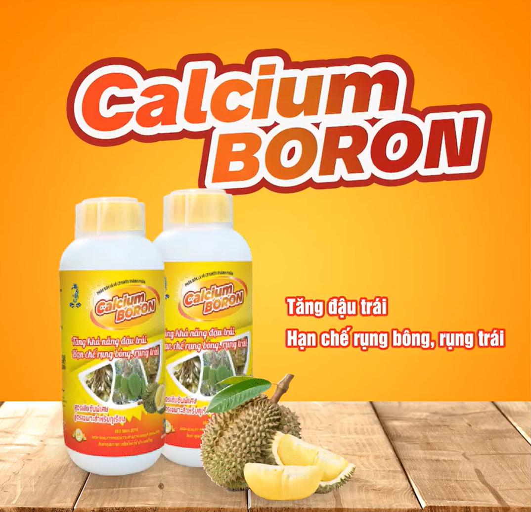 Phân bón lá ra hoa đậu trái - Sitto Calcium-Boron Chuyên Sầu Riêng (Chai 1l) - hạn chế rụng bông, rụng trái