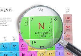 Nitrogen và vai trò trong việc phát triển cây trồng