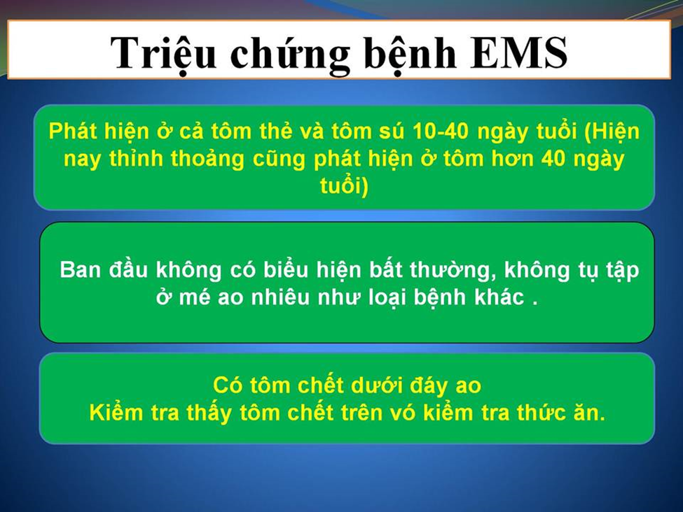 Triệu chứng của bệnh EMS