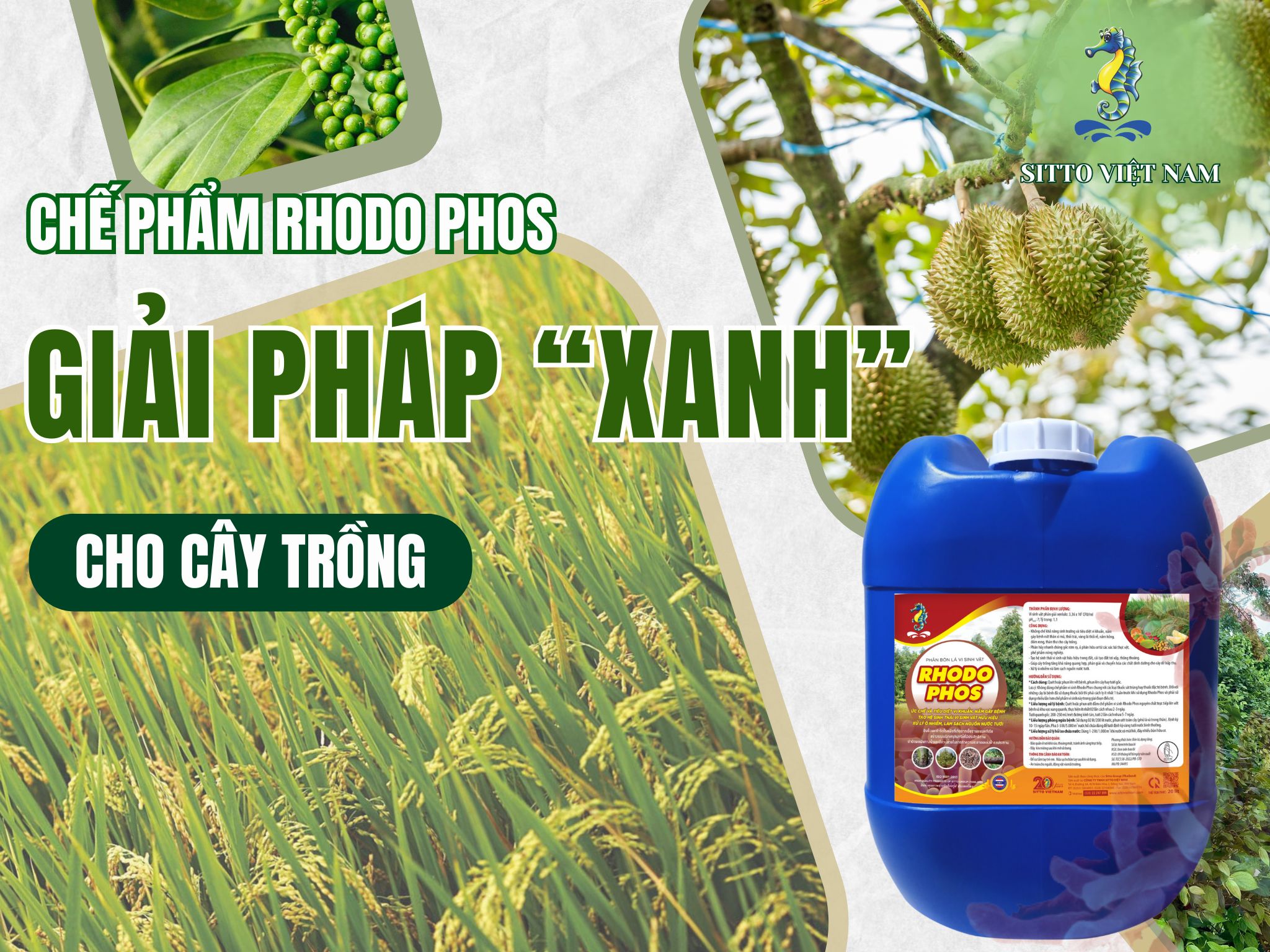 Chế phẩm Rhodo Phos giải pháp “xanh” cho cây trồng