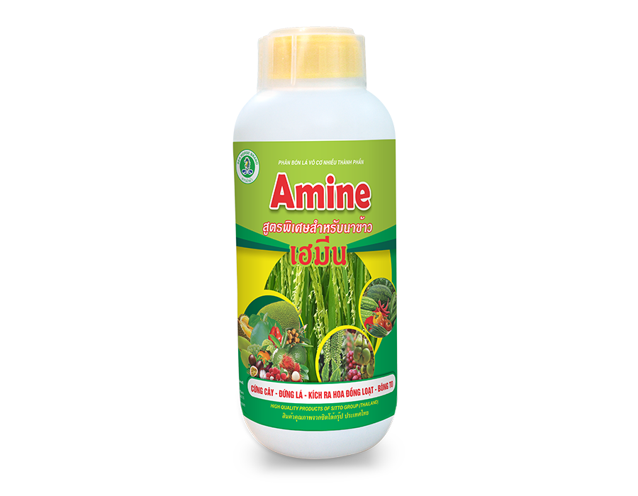 AMINE (Chai 500ml)