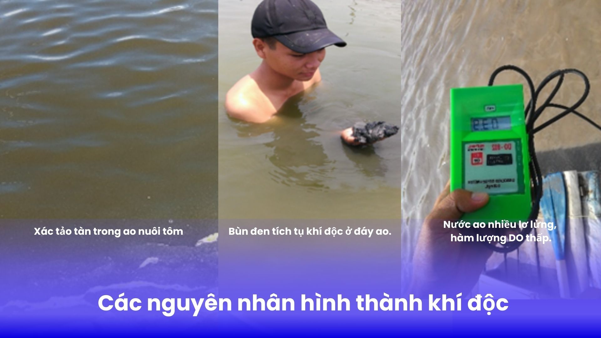 các nguyên nhân hình thành khí độc