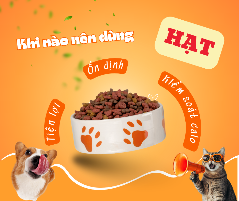 Vì sao nên chọn thức ăn hạt cho chó mèo