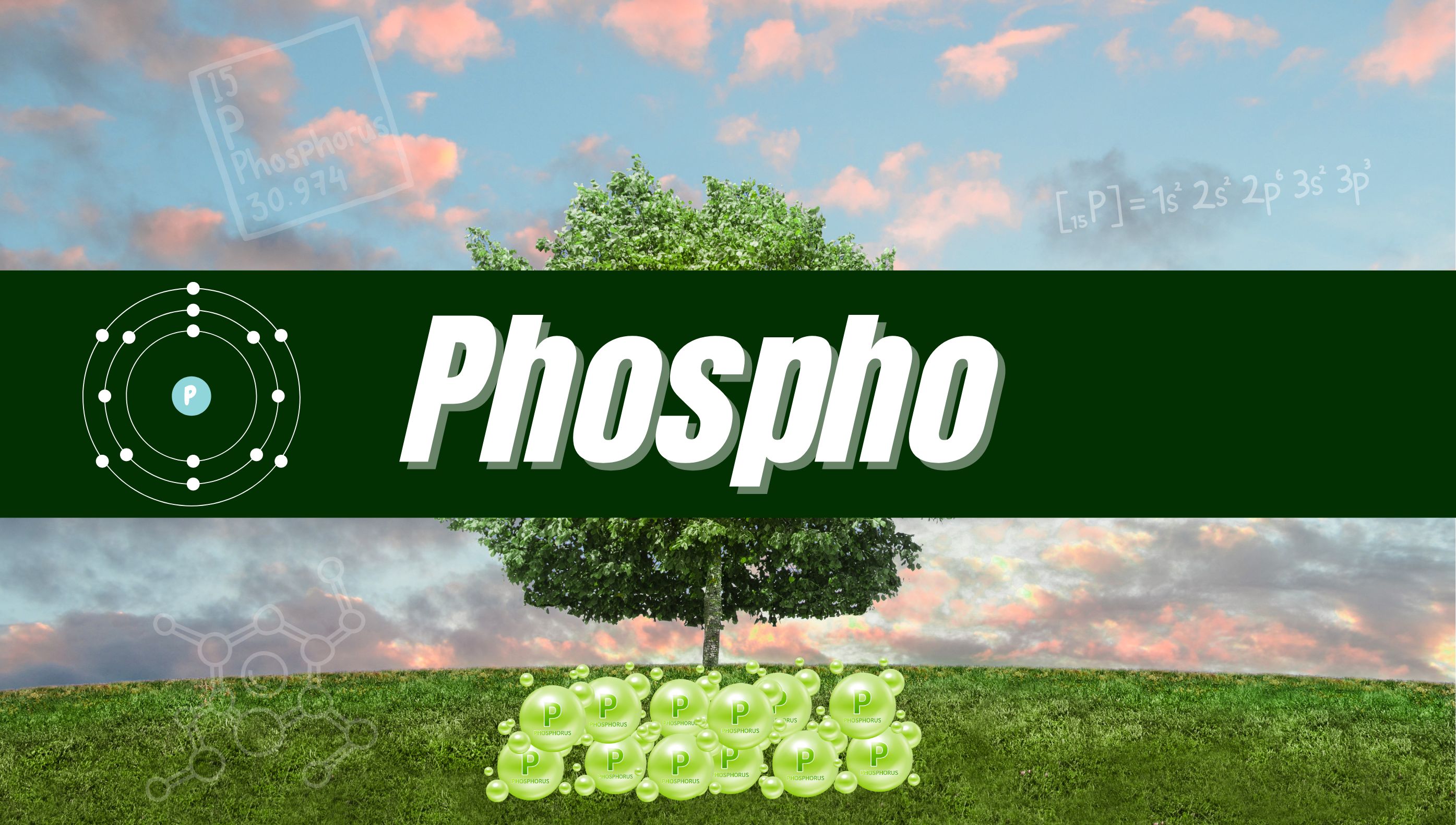 Vai trò của Phospho (Lân, P) trong sự phát triển của cây trồng