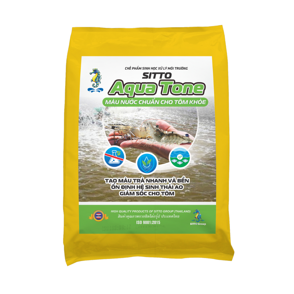 SITTO AQUA TONE (Gói 500g)
