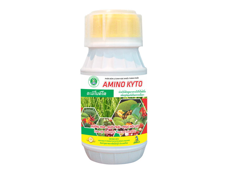 AMINO KYTO (chai 250ml)